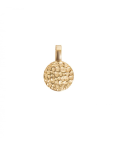 Ketting_hammered_coin___goud